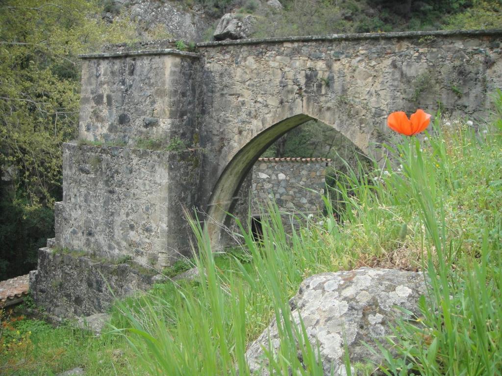 Archontiko I Misirlou Casa de hóspedes Kalopanagiotis Exterior foto